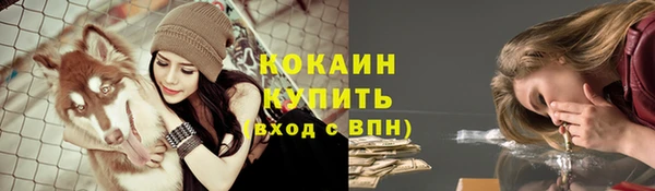 spice Алексин