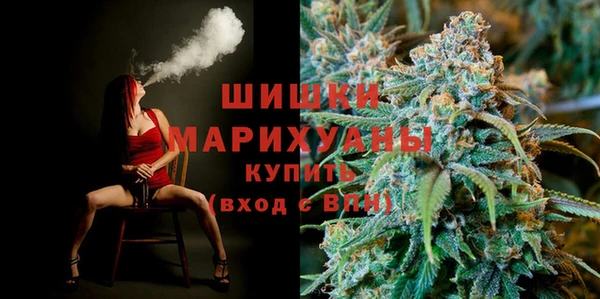 шишки Протвино
