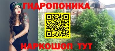 ALPHA PVP Кунгур