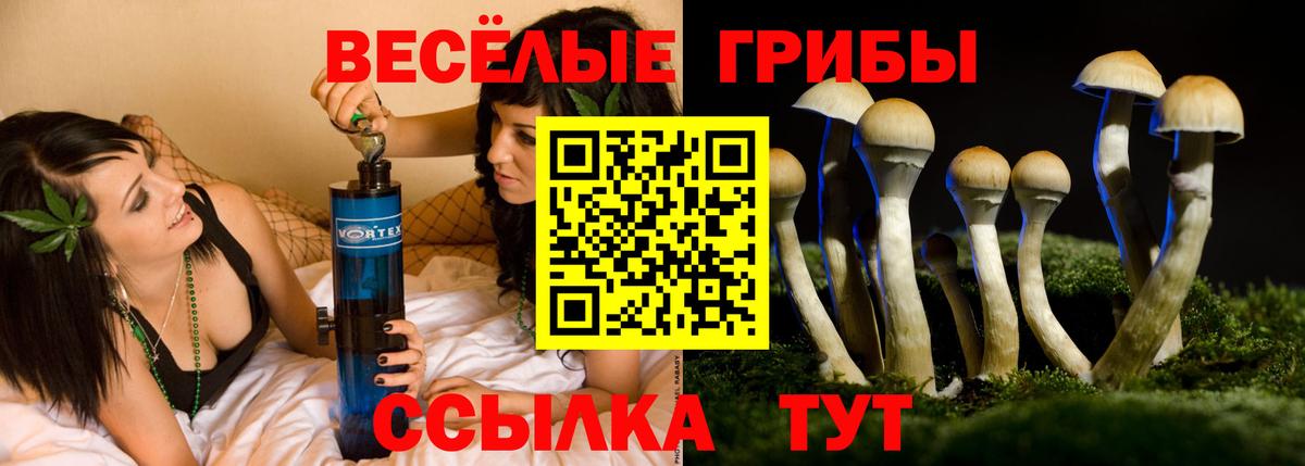 Дзержинский  Псилоцибиновые грибы Cubensis  Вход с VPN 