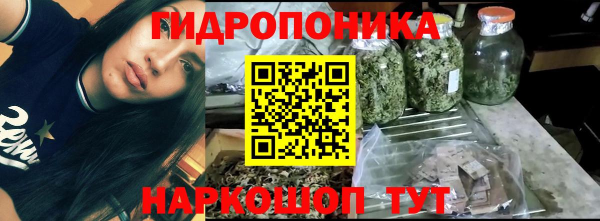 МАРИХУАНА план Дзержинский